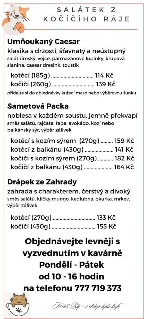 skvělý salát k obědu
