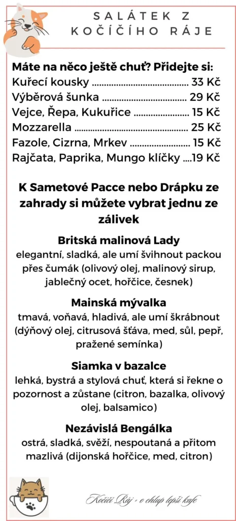 skvělý salát k obědu