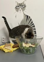 caesar meow